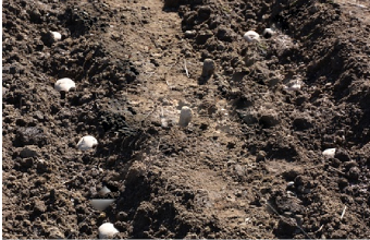 保守のイメージ写真